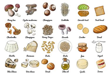 Vektör gıda ikonları. Renkli gıda ürünleri taslağı. Mantar, peynir, makarna, ekmek yağı.