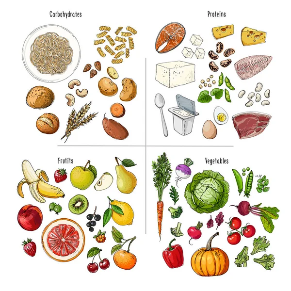 Alimentación Saludable Esquema Dieta Productos Lácteos Verduras Frutas Cereales Proteína — Archivo Imágenes Vectoriales