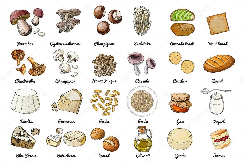 Vector food icons. Colored sketch of food products. Mushrooms, cheeses, pasta, bread butter
