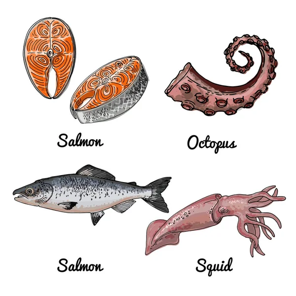 Morskie Jedzenie Wektorowy Rysunek Jedzenia Ryby Czerwone Łosoś Ośmiornica Pstrąga — Wektor stockowy