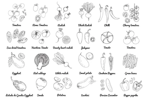 Vektoressen Ikonen Des Gemüses Farbige Skizze Von Lebensmitteln Tomaten Paprika — Stockvektor