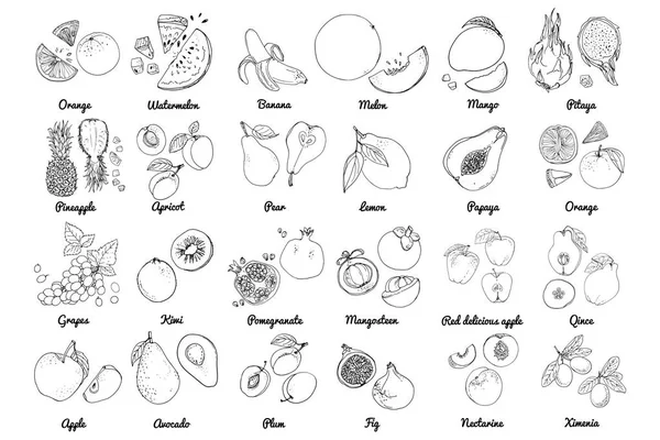 Vektoressen Ikonen Von Früchten Farbige Skizze Von Lebensmitteln Exotische Früchte — Stockvektor