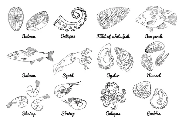 Morskie Jedzenie Wektorowy Rysunek Jedzenia Czerwono Białe Ryby Tilapia Kałamarnica — Wektor stockowy