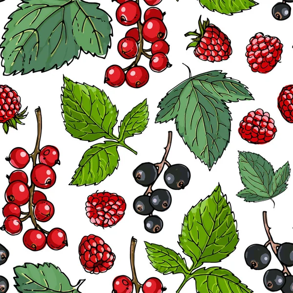 Seampless berries pattern vector color food. Wild strawberry, wild strawberry — Stock Vector
