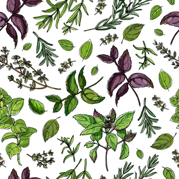 Seampless pattern vector color food. Basil, Parsley, Rosemary, Sage, Bay, Thyme, Oregano, Mint — 스톡 벡터