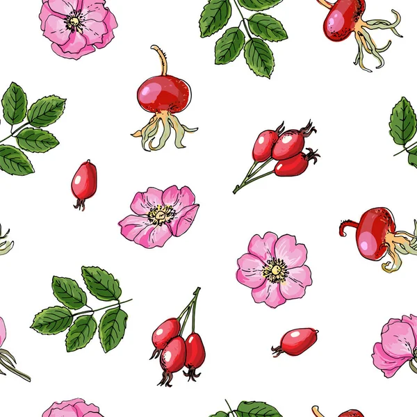 Patrón sin mar vector de color de alimentos. Rosa mosqueta, Espino. — Archivo Imágenes Vectoriales