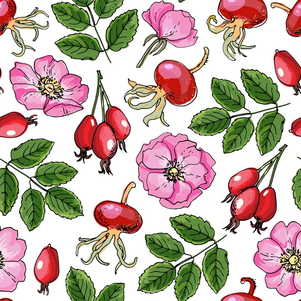 Kusursuz desenli vektör renk yiyeceği. Rosehip, Hawthorn. — Stok Vektör