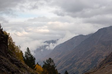 Sonbahar vadisinin kasvetli manzarası