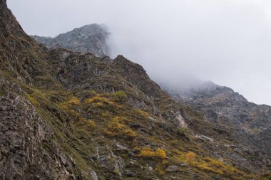 Ender bulunan bitki örtüsüyle kaplı sonbahar dağları bulutlu gökyüzü ile karşılaştı