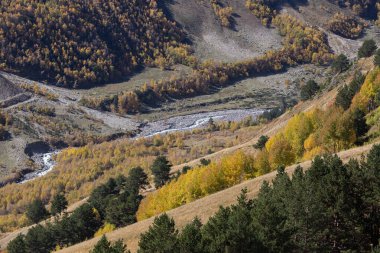 Nehir vadisinin üst manzarası, renkli sonbahar ormanı