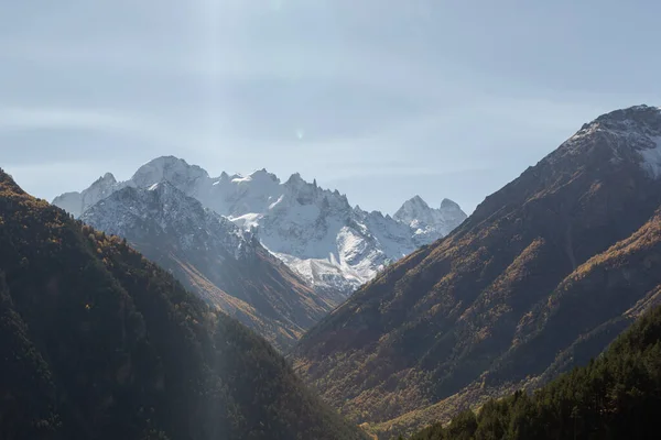 Mountain valley covered with autumn golden trees against the background of snowy peaks