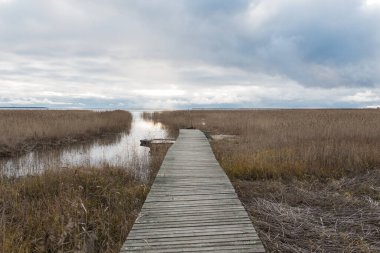 Sazlıkların arasında, Lazhozhskoe Gölü 'ndeki ahşap iskele..