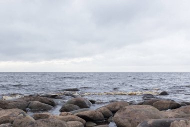 Gri taşlar Ladoga Gölü 'nün soğuk suyuyla yıkanır.