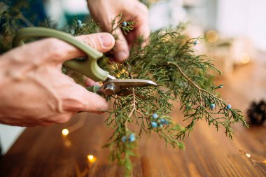 Erkek eli budama makinesiyle ladin dalını kesiyor.