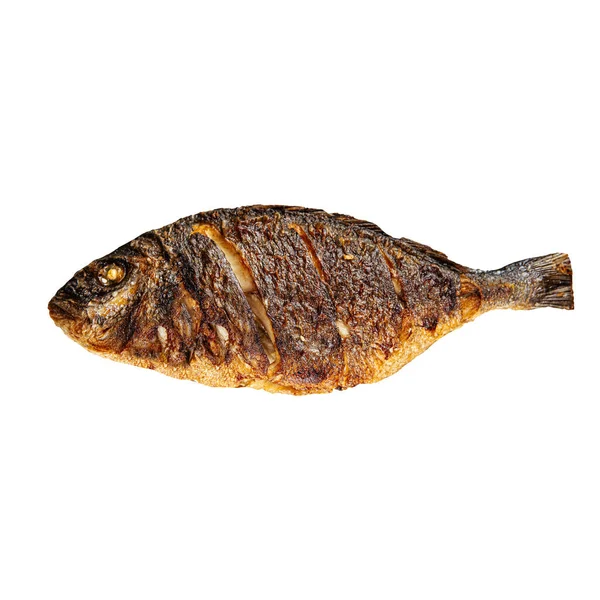 Isolated grilled dorada fish on the white — 스톡 사진