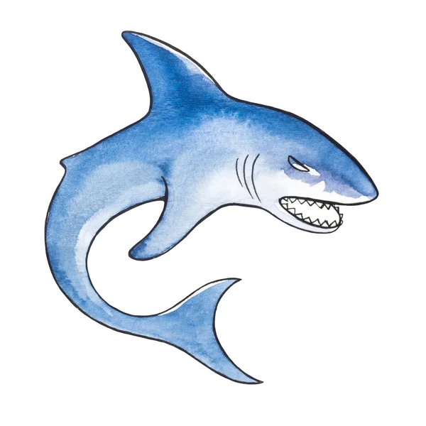 Tiburón marino. Ilustración en acuarela . —  Fotos de Stock