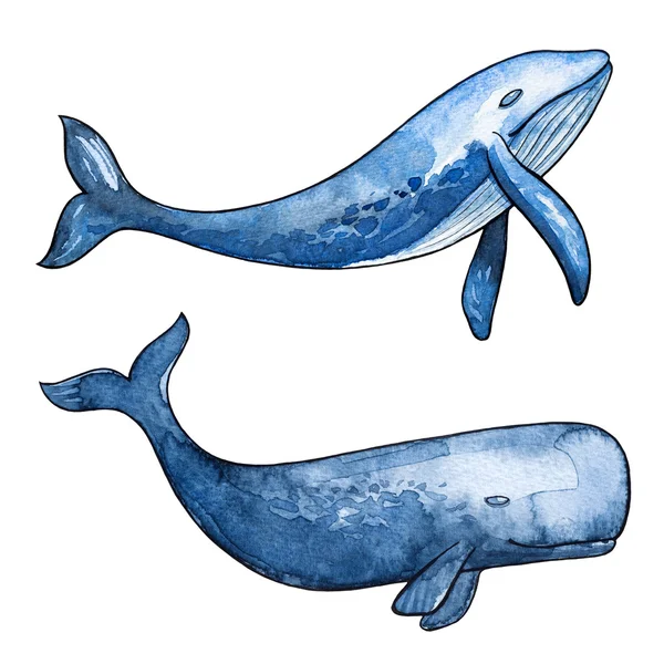 Zee walvis. Aquarel illustratie. — Stockfoto