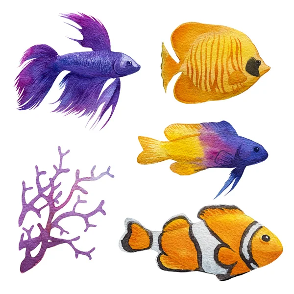 Aquarium poisson aquarelle illustration — Photo