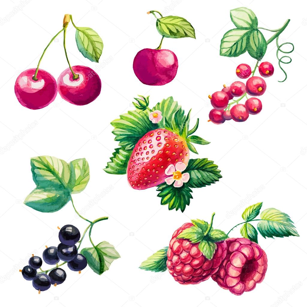 berries set