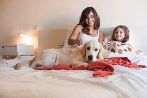 Golden Retriever en la cama con la familia — Foto de Stock