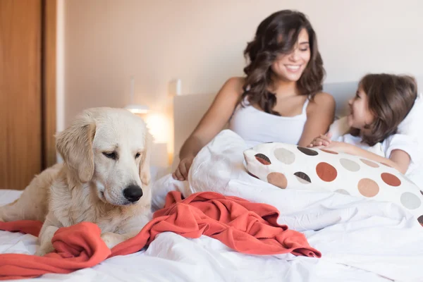 Golden Retriever en la cama con la familia — Foto de Stock