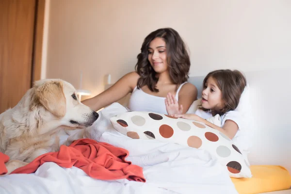 Золотой ретривер в постели с семьей — стоковое фото