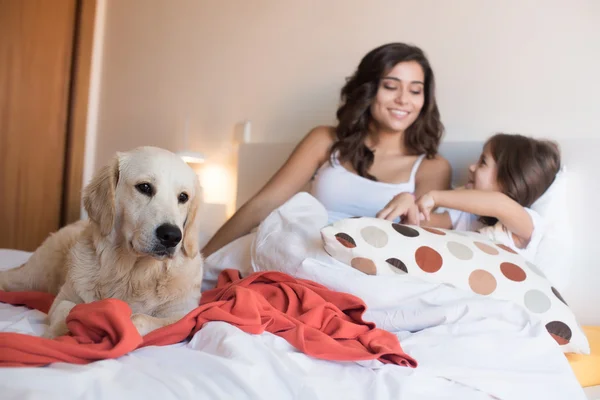 Golden Retriever na cama com a família — Fotografia de Stock