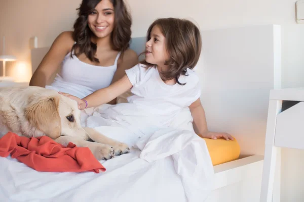 Golden Retriever en la cama con la familia — Foto de Stock