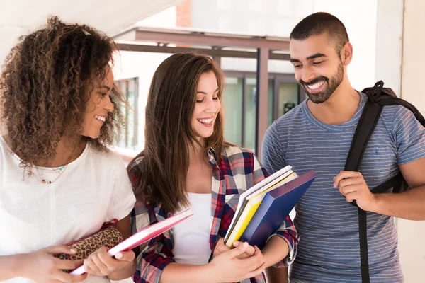 Grup öğrenci kampus içinde — Stok fotoğraf