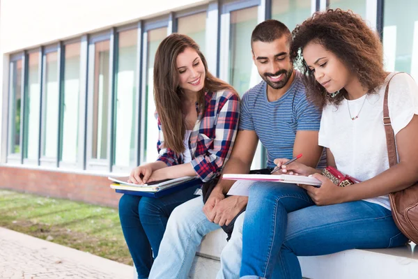 Udostępnianie notatek studentów — Zdjęcie stockowe