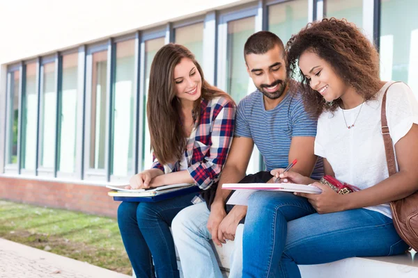 Studenten notities delen — Stockfoto