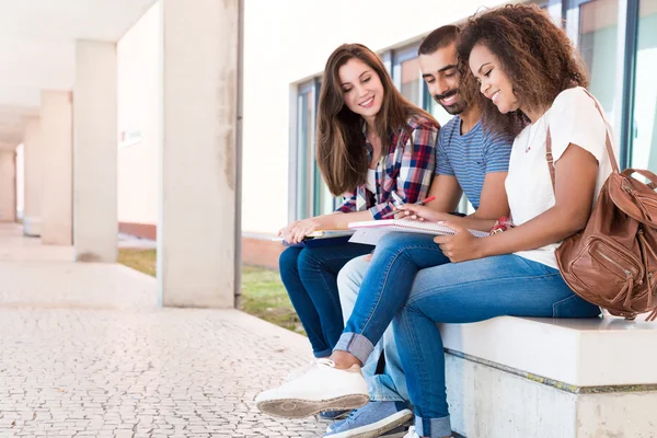 Studenten teilen sich Notizen — Stockfoto