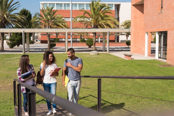 Grup öğrenci kampus içinde — Stok fotoğraf