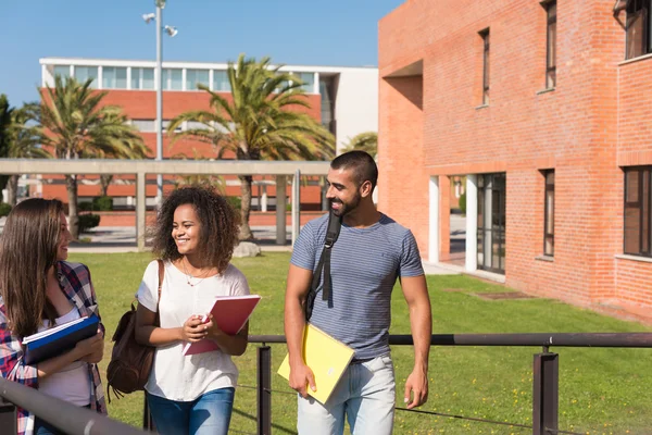 Grupo de estudantes no Campus — Fotografia de Stock