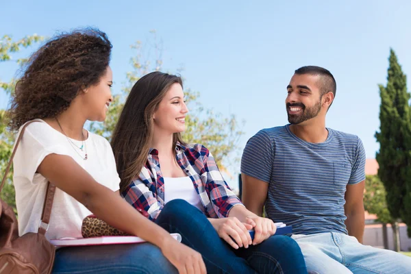 Students in School Campus — Stock Photo, Image