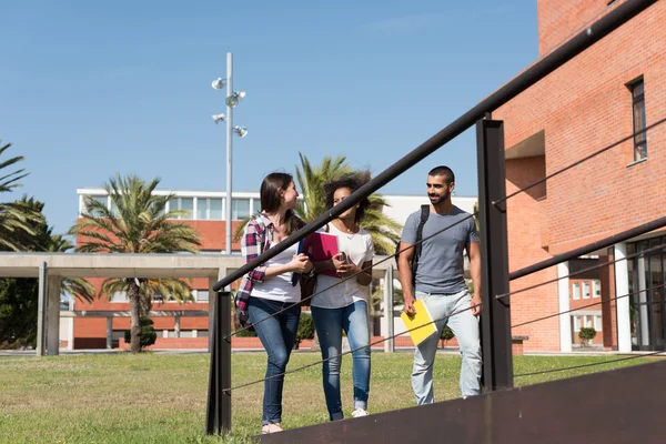 Grup öğrenci kampus içinde — Stok fotoğraf
