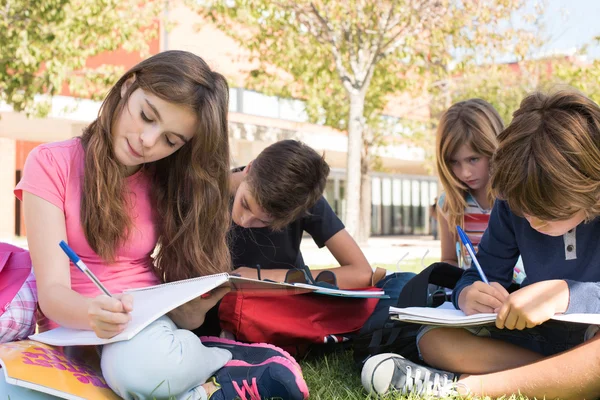 Étudiants assis sur l'herbe — Photo