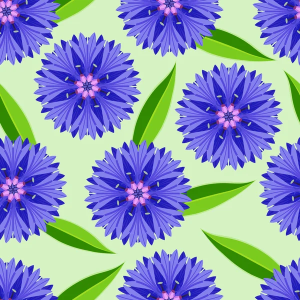 Summer seamless pattern with cornflowers — Stock Vector