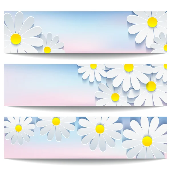 Készlet-ból gyönyörű bannerek, fehér virág Kamilla — Stock Vector