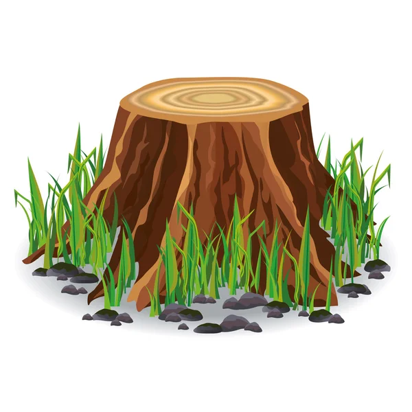 Tocón de árbol con hierba verde — Vector de stock