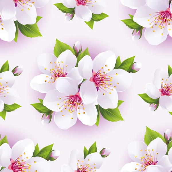 Beautiful seamless pattern with white sakura — Stock Vector