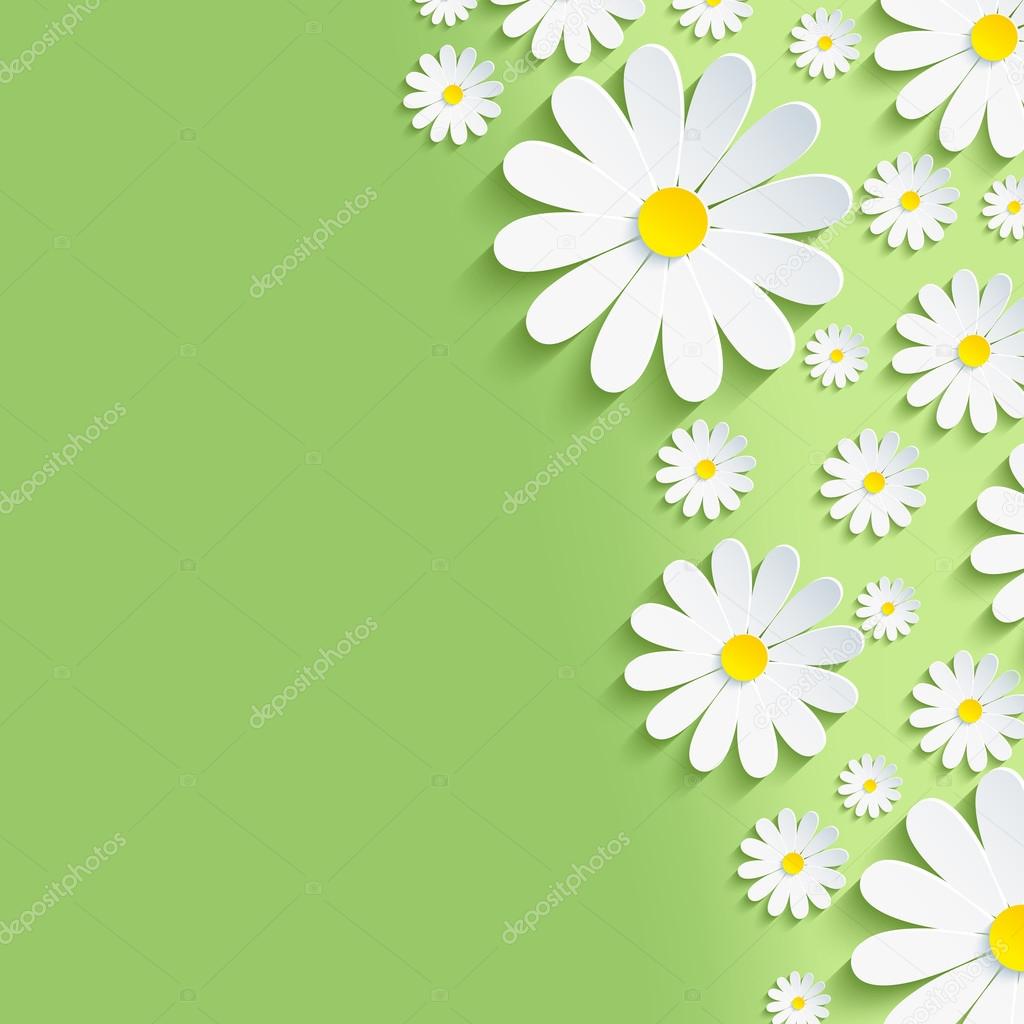Spring green nature background with white chamomiles