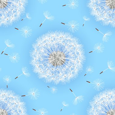 Seamless modeli ile çiçek dandelions mavi