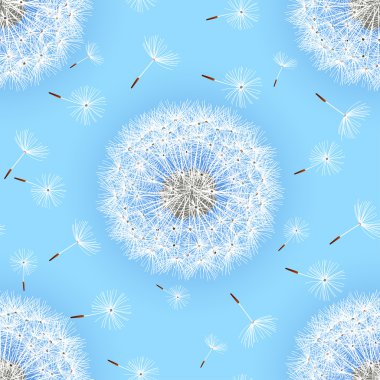 Seamless pattern blue with flowers dandelions clipart