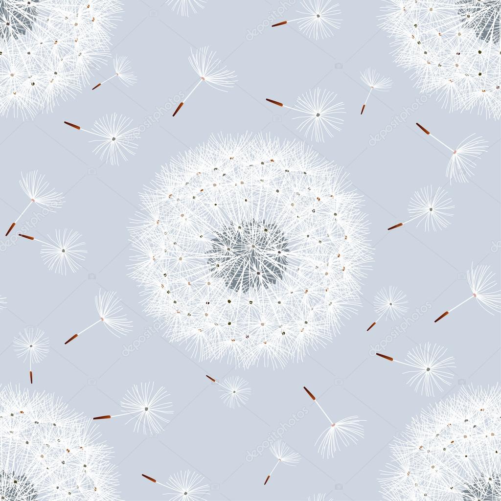 Seamless pattern grey with flowers dandelions