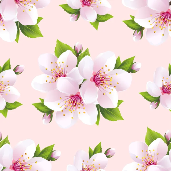Hermoso patrón sin costura con flores sakura — Vector de stock