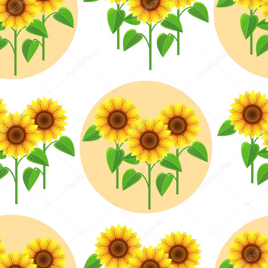 Seamless pattern white with flowers sunflowers