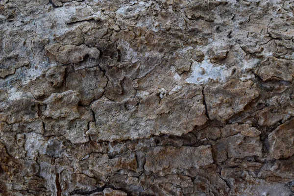 Doğal Eskimiş Eski Koyu Kahverengi Doku Arka Planı Ahşap Tahta — Stok fotoğraf