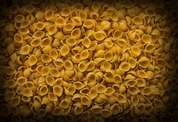 Conchas de pasta — Foto de Stock