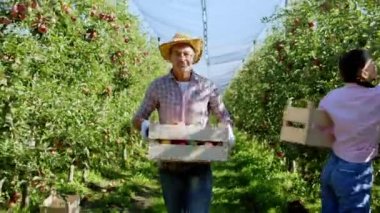 Karizmatik olgun bir adam elma bahçesinin ortasında kameranın önünde yürüyor. Elinde bir kutu dolusu taze elma tutuyor. Diğer işçiler ağaçtan olgun meyveleri topluyor.